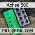 Axcil 500 new04